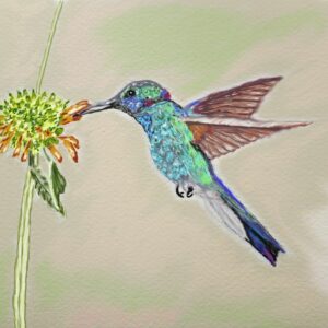 Éclat de Vie – Colibri en Suspension