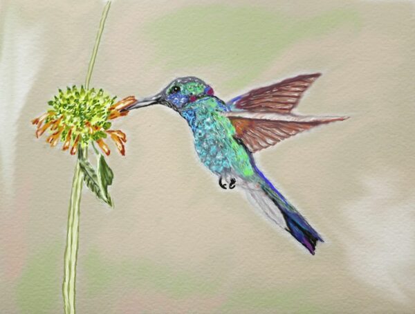 Éclat de Vie – Colibri en Suspension