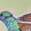 Éclat de Vie – Colibri en Suspension – Image 2