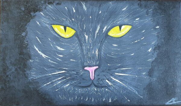 Chat : yeux dans les yeux