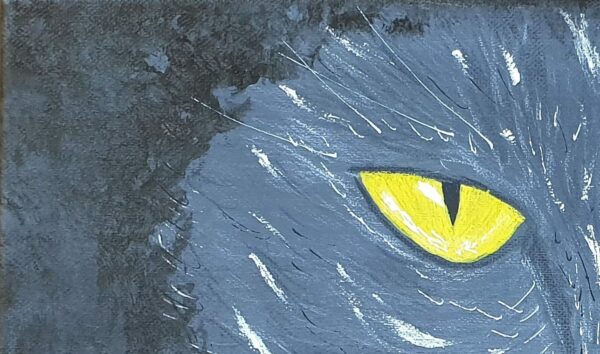 Chat : yeux dans les yeux – Image 3
