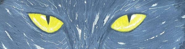Chat : yeux dans les yeux – Image 2