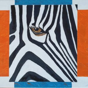 Zèbre : yeux dans les yeux