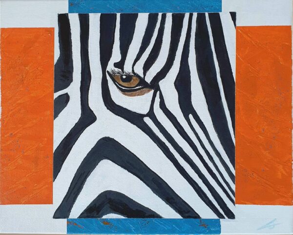 Zèbre : yeux dans les yeux