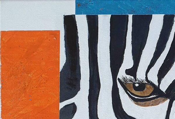 Zèbre : yeux dans les yeux – Image 2