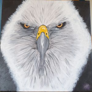 Eyes of eagle